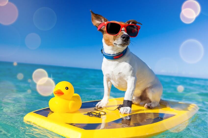 BYshop����ײ�����ͼƬ��������